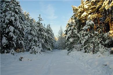 《使命召唤18》开发商大锤在英国开设新工作室